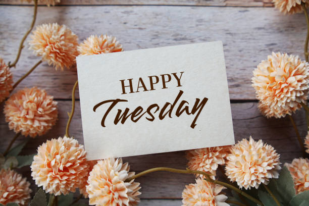 400+ Funny & Creative Names For Tuesday