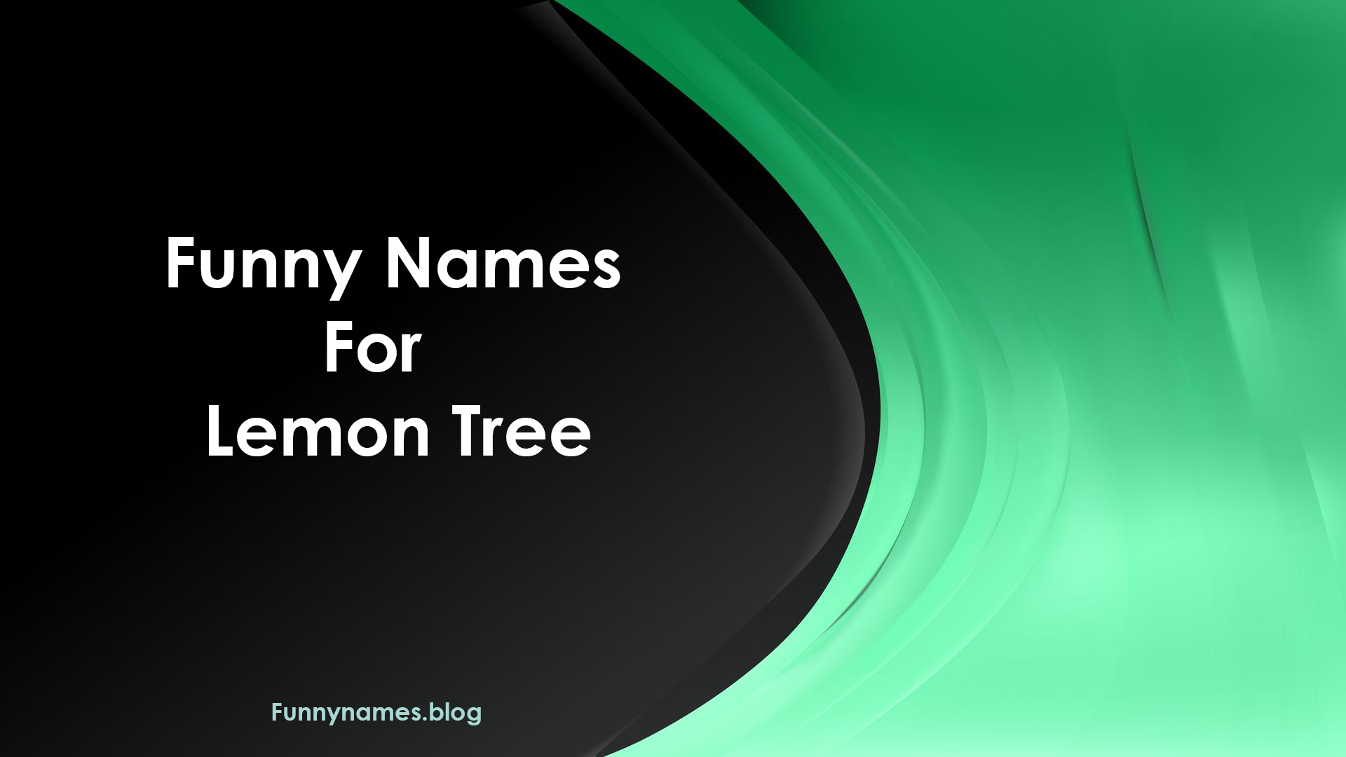 Funny Names for a Lemon Tree